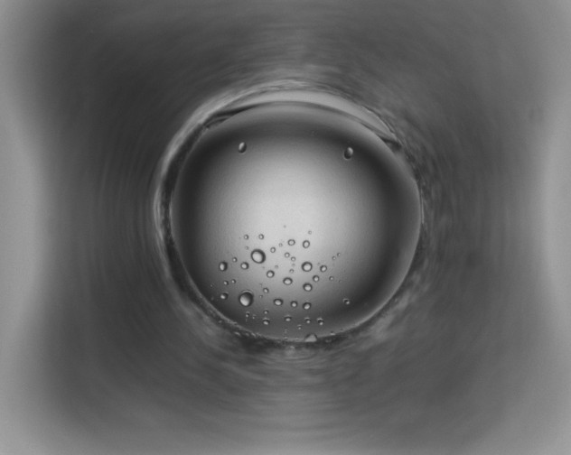 X0000114090244200910051431