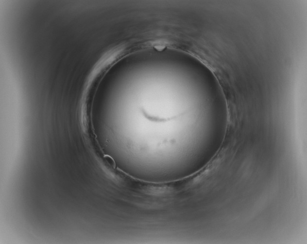 X0000114090245200910051431