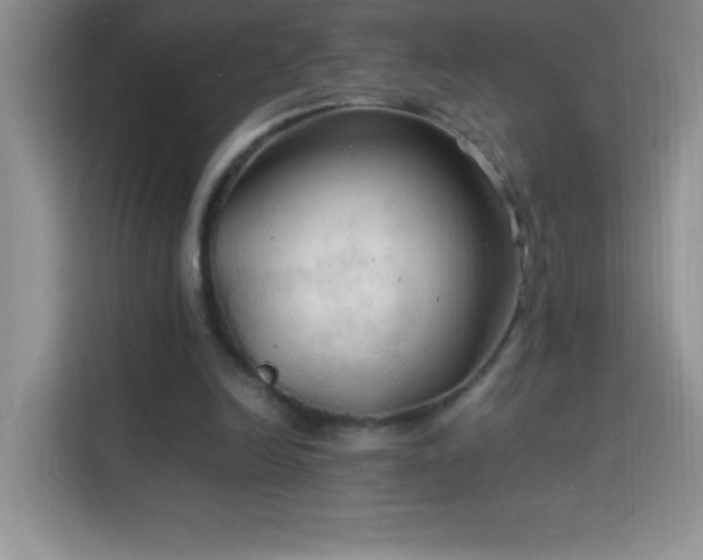 X0000114090246200910051431