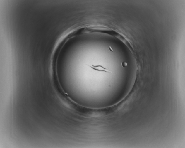 X0000114090248200910051431