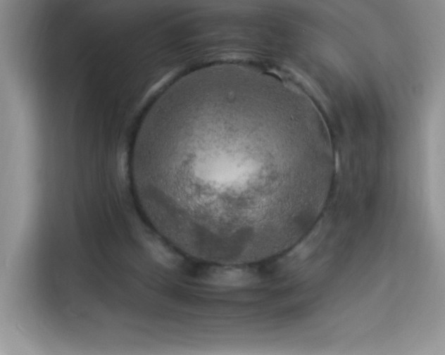 X0000114090249200910051431