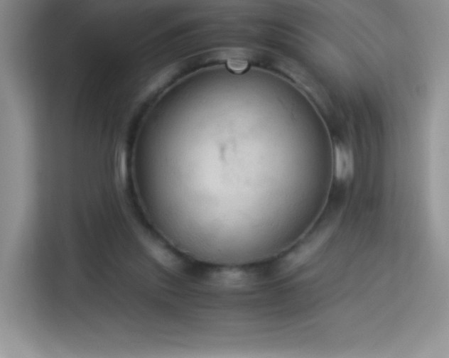 X0000114090253200910051431
