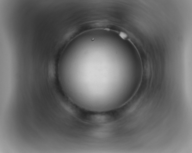 X0000114090255200910051431