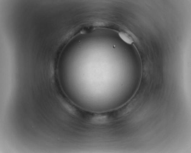 X0000114090257200910051431