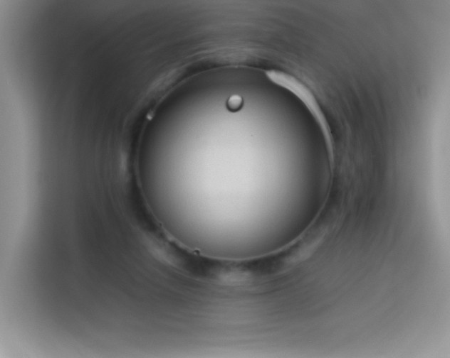 X0000114090258200910051431