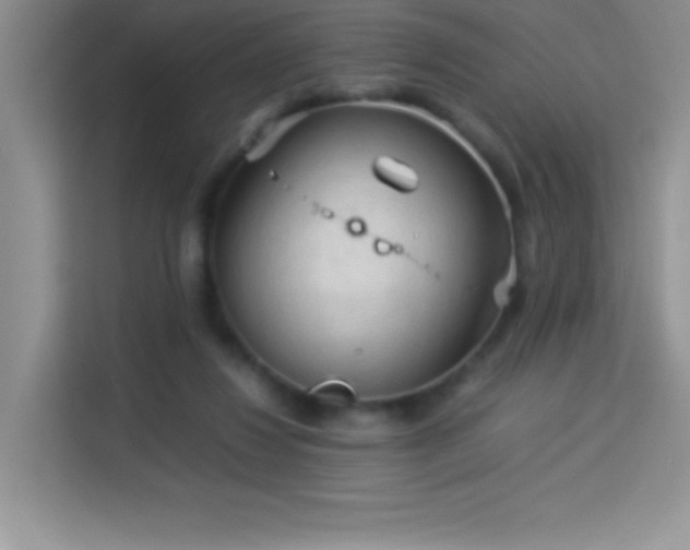 X0000114090260200910051431