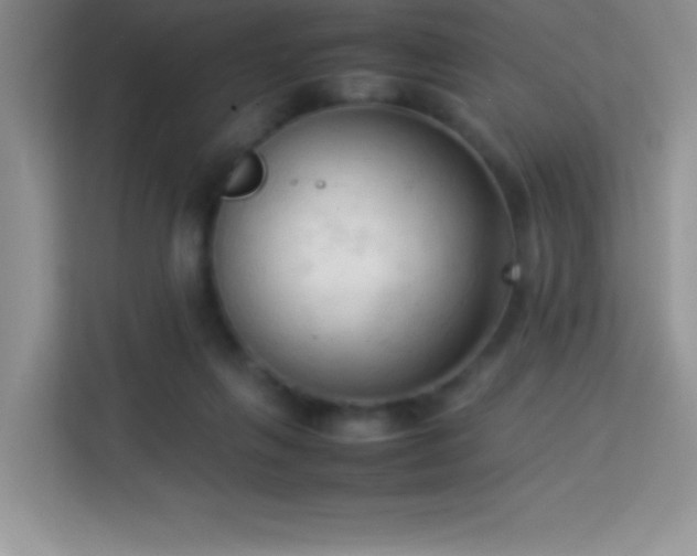X0000114090263200910051431