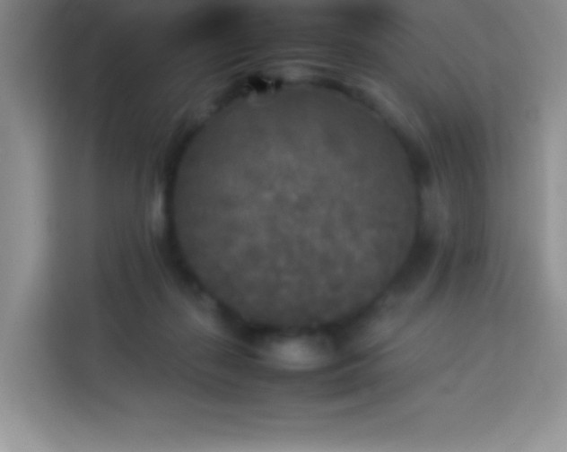 X0000114090267200910051431