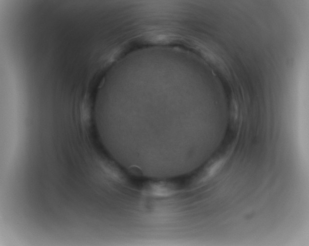X0000114090268200910051431