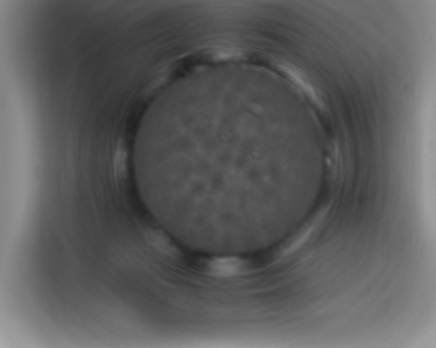 X0000114090269200910051431