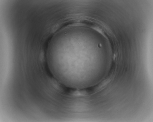 X0000114090270200910051431