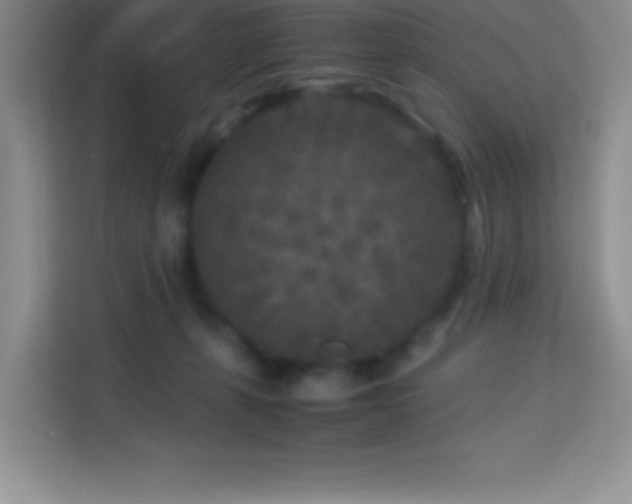 X0000114090271200910051431