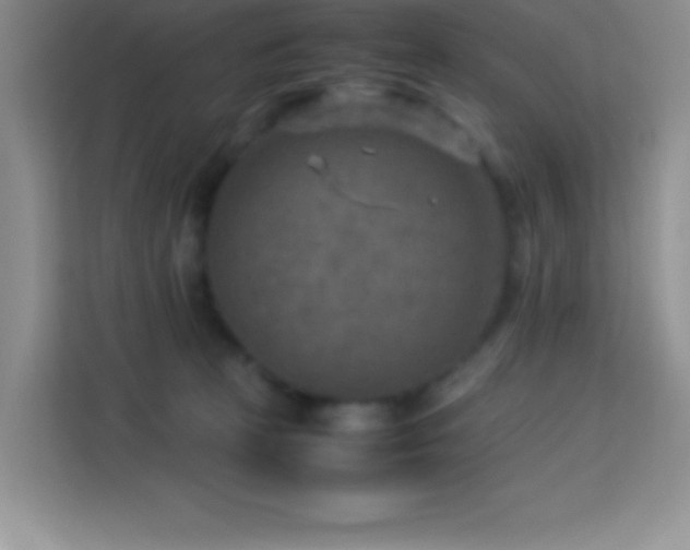X0000114090273200910051431