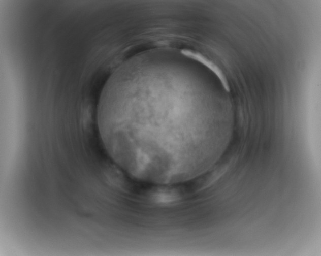 X0000114090275200910051431