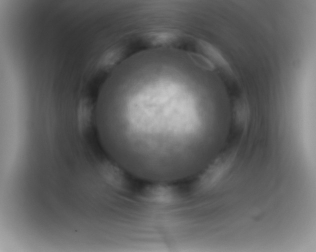 X0000114090276200910051431