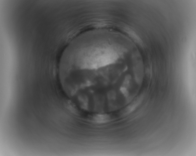 X0000114090277200910051431