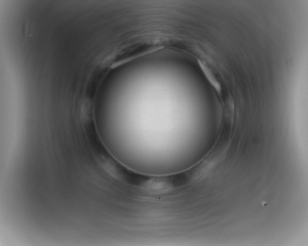 X0000114090280200910051431
