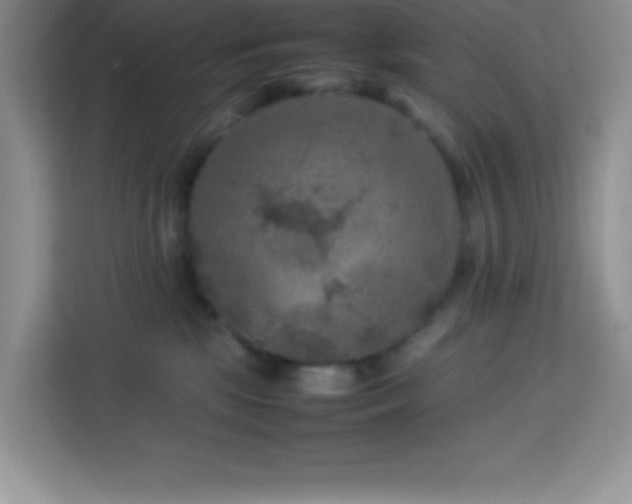 X0000114090281200910051431