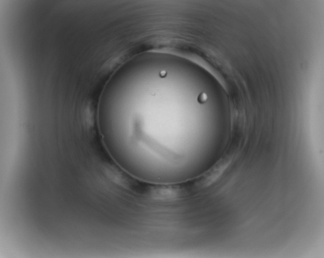 X0000114090282200910051431