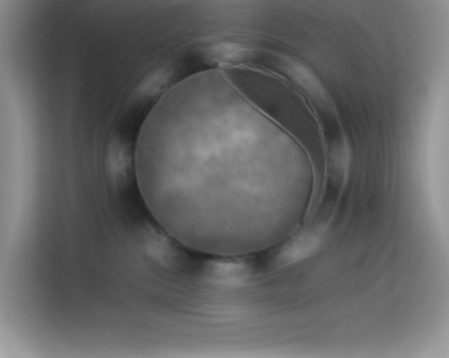 X0000114090284200910051431