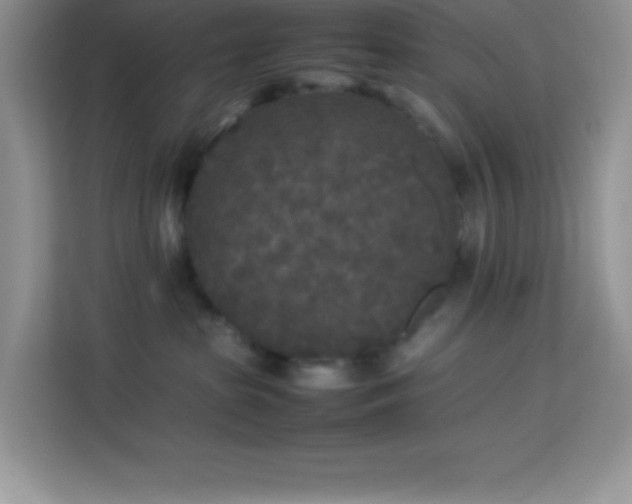 X0000114090285200910051431