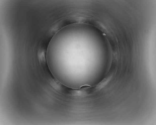 X0000114090286200910051431