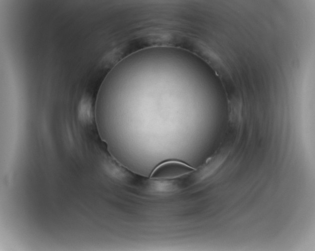 X0000114090287200910051431