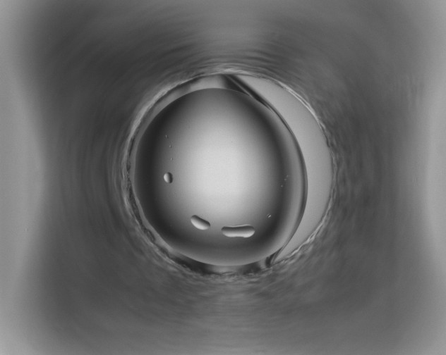X0000114090289200910051431