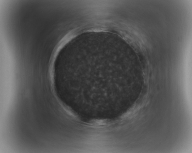 X0000114090295200910051430