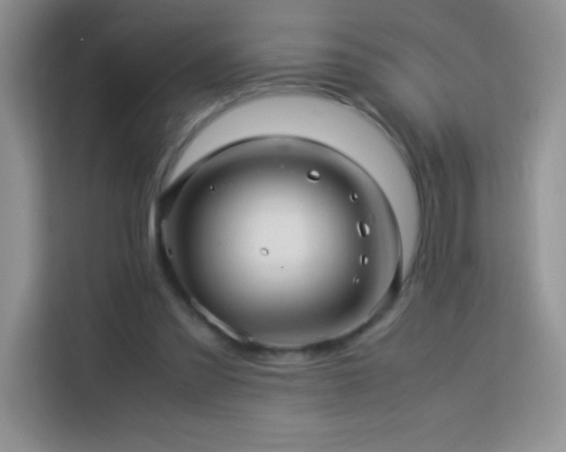 X0000114090301200910051430
