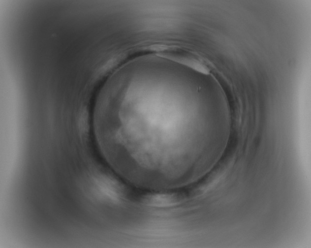 X0000114090303200910051430