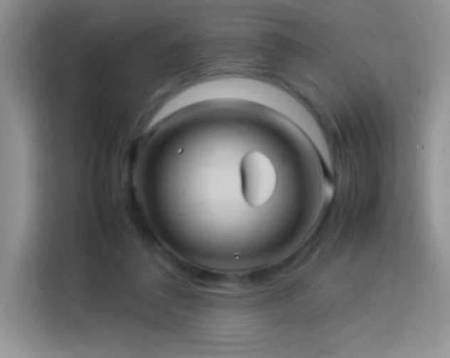 X0000114090308200910051430
