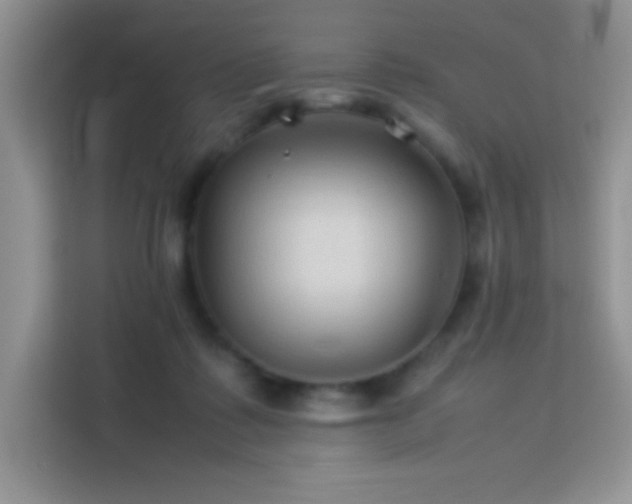 X0000114090315200910051430