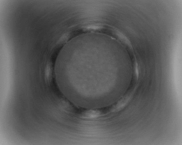 X0000114090328200910051430