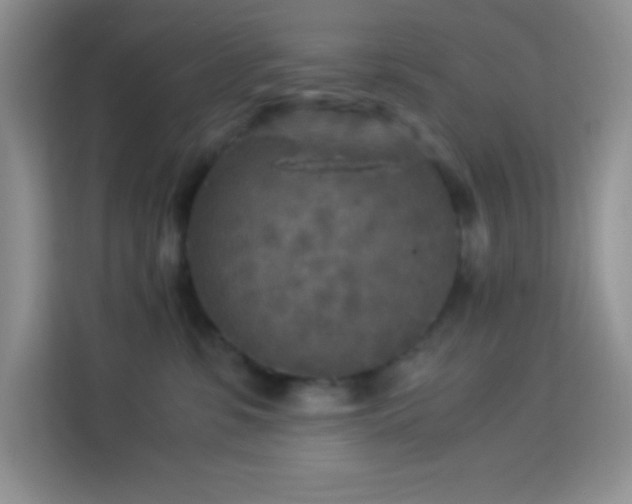 X0000114090331200910051430