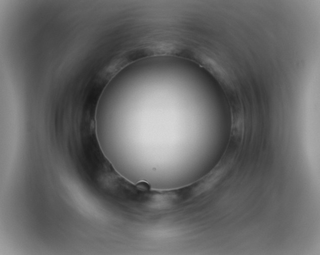 X0000114090334200910051430