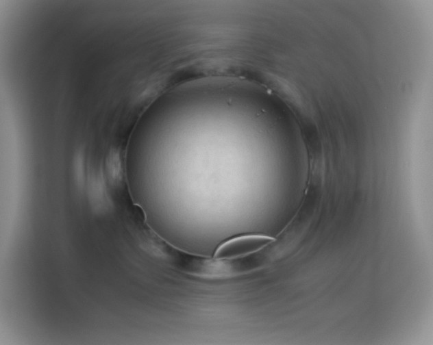 X0000114090335200910051430