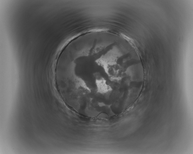 X0000114090337200910051429