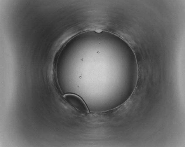 X0000114090338200910051429