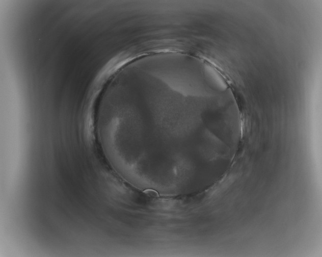X0000114090339200910051429