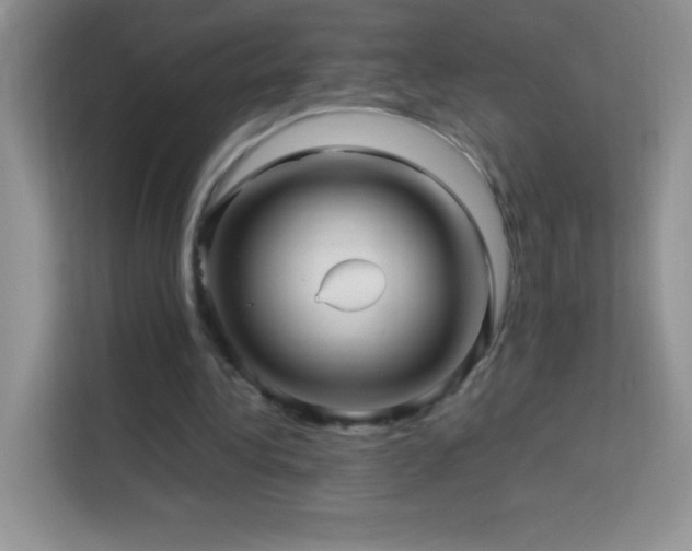 X0000114090340200910051429
