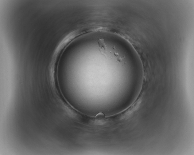 X0000114090341200910051429