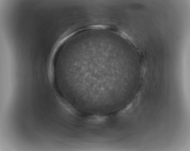 X0000114090343200910051429