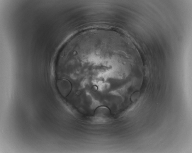 X0000114090347200910051429