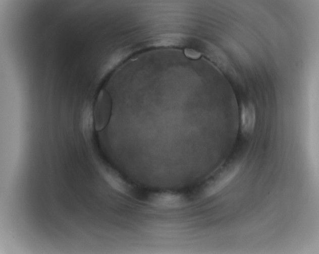 X0000114090348200910051429