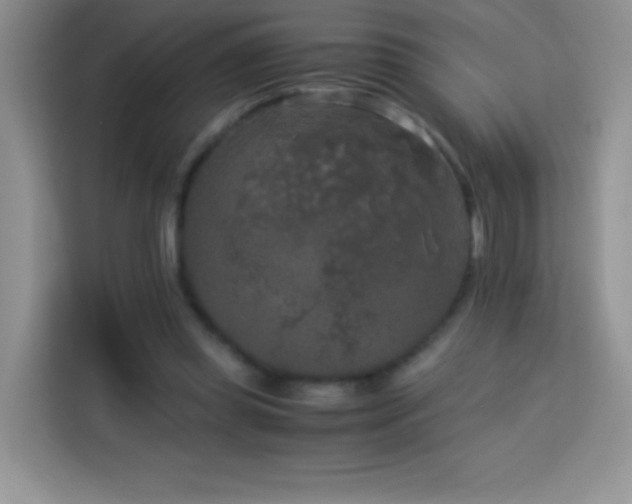 X0000114090349200910051429