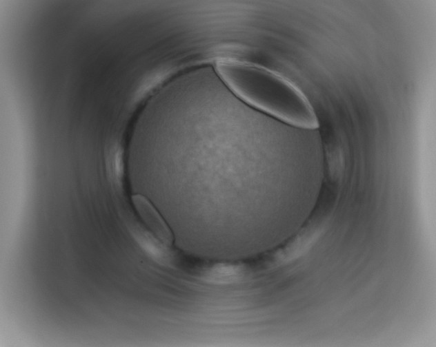 X0000114090350200910051429