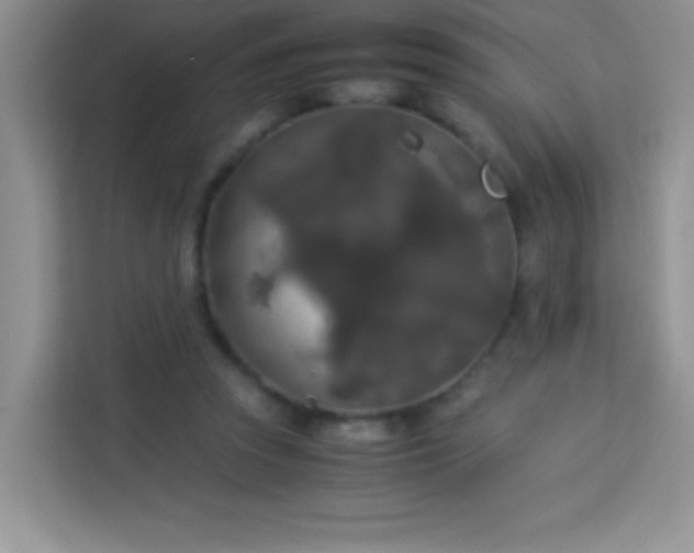 X0000114090353200910051429