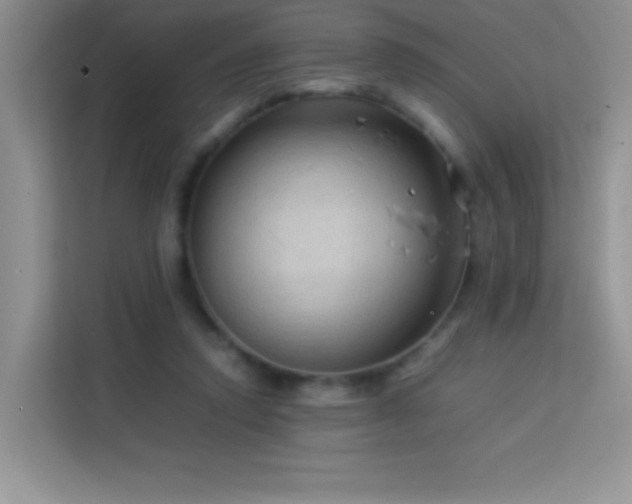 X0000114090354200910051430