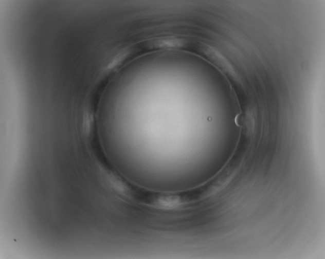 X0000114090355200910051430